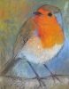 tuinvriend x29 cm    450   2017  17002 113