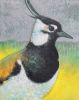 loes botman  eerste ei  pastel x22 cm     410   1425