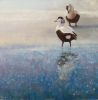 ewoud de groot  eiders  olieverf op doek x80 cm.  3200 00 1973