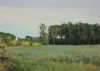 gerard huysman pastel landschap frankrijk