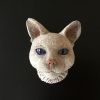 5 kattekop grijze kat met blauwe ogen en kraagje