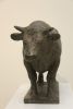 gerry van der velden   stier  grote versie  brons x50x35 cm. 4000 00  2 3029