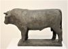 gerry van der velden   stier  grote versie  brons x50x35 cm. 4000 00  4 3031