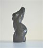 torso klein  bronsx6 breed 995 00  2 3102