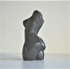 torso klein  bronsx6 breed 995 00  3 3103