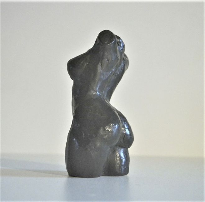 torso klein  bronsx6 breed 995 00  3 3103