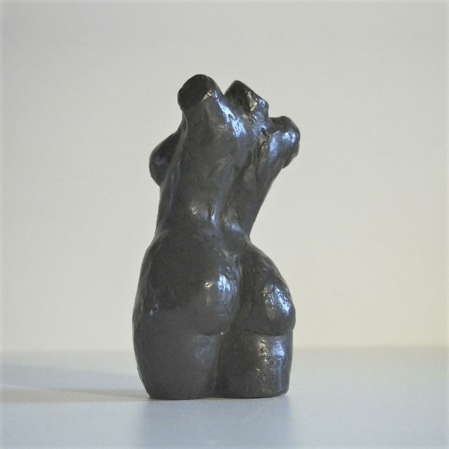 torso klein  bronsx6 breed 995 00  4 3104