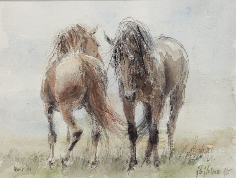 piet klaasse  twee paarden  aquarel x60 cm. buitenmaten ex lijst 825 00  2 3237