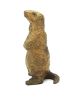 FIONA ZONDERVAN   Alpenmarmot  brons x7x7 cm. 590 00  5 3629