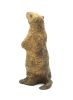 FIONA ZONDERVAN   Alpenmarmot  brons x7x7 cm. 590 00  6 3630