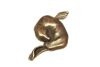 FIONA ZONDERVAN  Zeeleeuw  penning  brons x15x9 cm. 450 00  3652