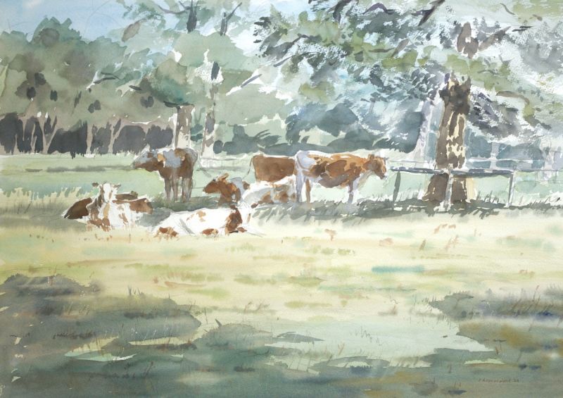 Verkoeling zoekende koeien   aquarel  x 60 cm. 1350 00 3926