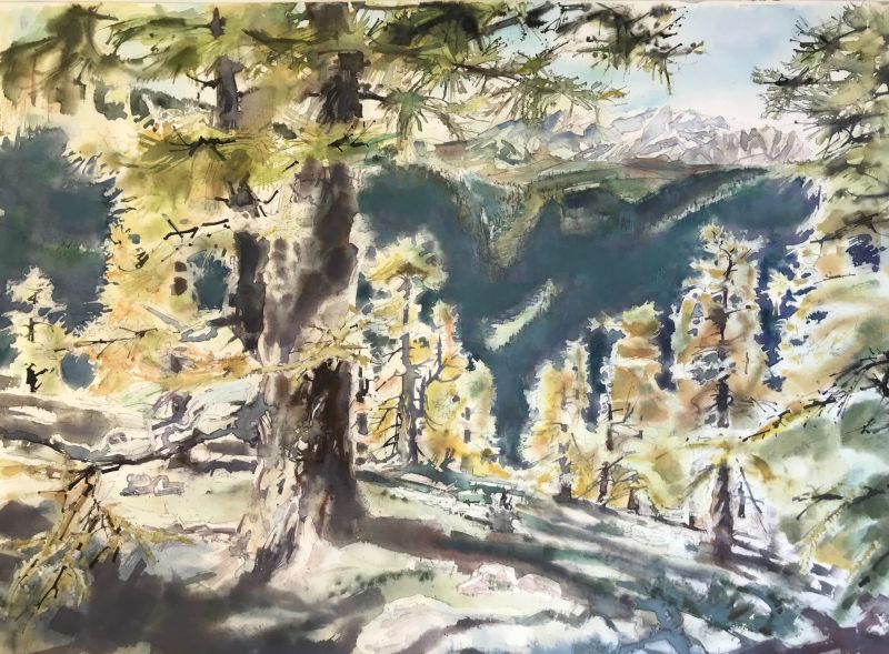 21 Lariksen in de Herfst  met Mont Blanc massief  Nendaz  aquarel  x 54. cm. 1400 00 4026