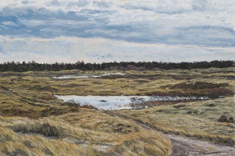 JOANNA QUISPEL  Terschelling  duinen Formerum  pastel x37 5 cm. 900 00 4031