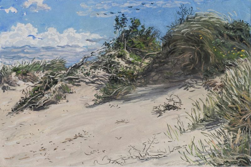 JOANNA QUISPEL  Texel  duinen Slufter  pastel  20x30 cm. 800 00 4037