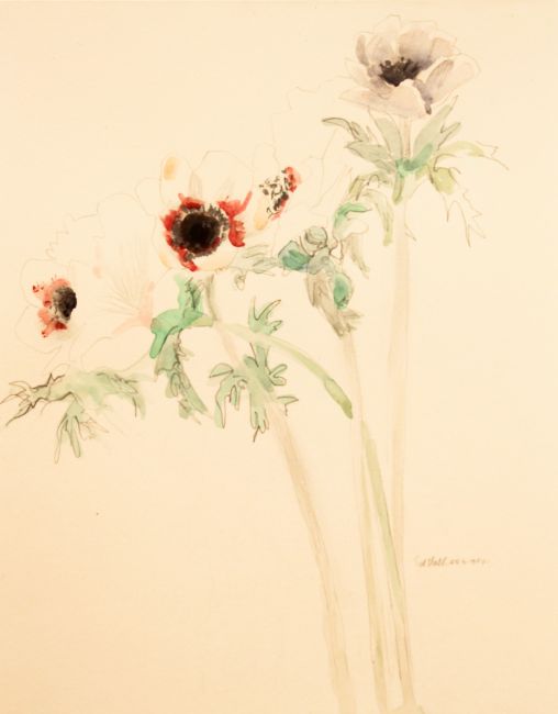 ED VALK  Anemonen I   aquarel  55x44 cm. 4571