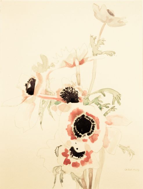 ED VALK  Anemonen II   aquarel  55x44 cm. 750 00 4575