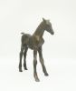 BEA MOL Dartel veulen  brons x9x20 cm.  1050 00  5 4780
