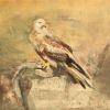 MARTIN KOOLE  Red kite  acryl x73 cm. cm. 1750 00 4797