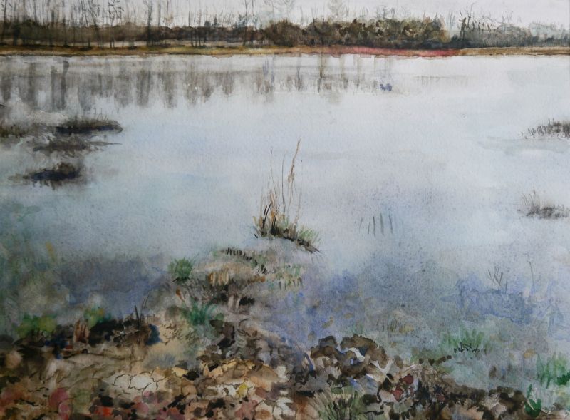 INEKE VAN HAALEN  Waterlandschap Achterhoek   aquarel  x 38 cm. 4844