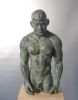 TEUN VAN STAVEREN  Pensiero  composiet brons x22x16 cm  nr 1 van 4   2.450 euro 5007