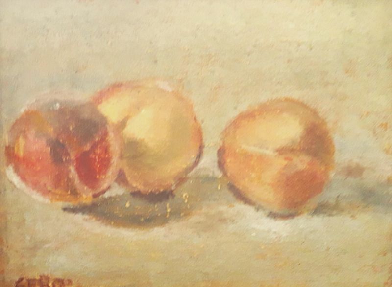 GERO TROIKE   Perzikken  olieverf   00  21x28 cm. 5194