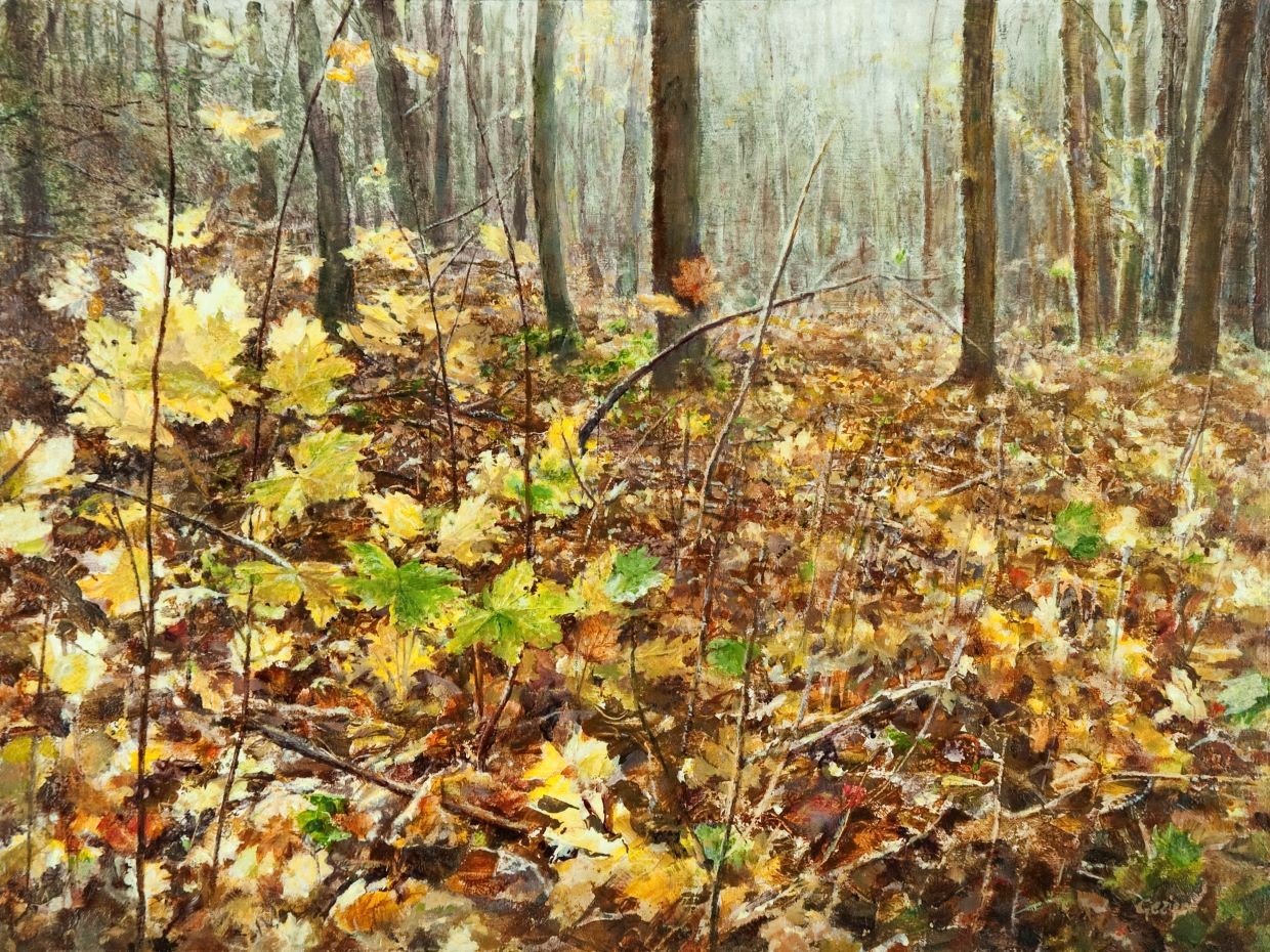 Allemaal herfstblaadjes