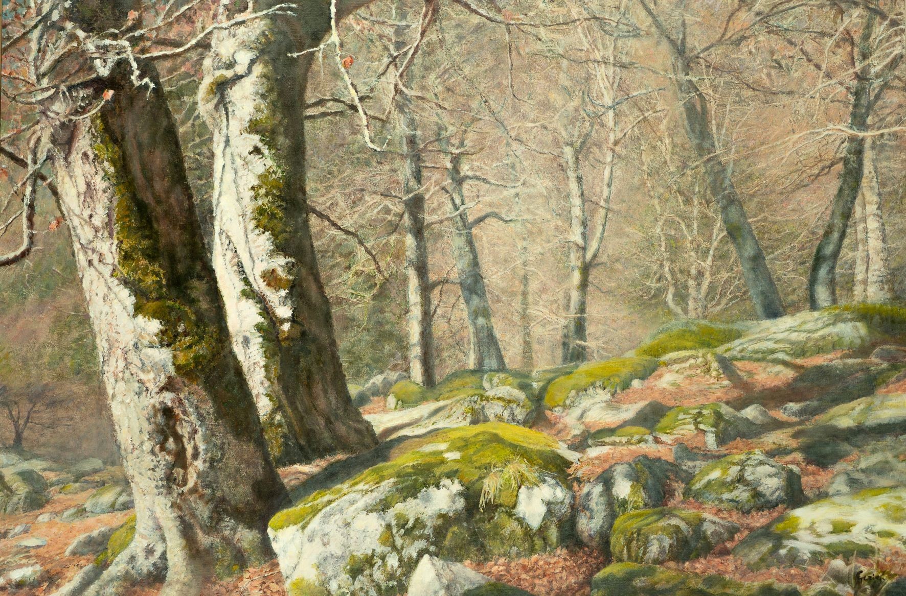 Beukenbos Espitau de Vielha