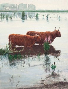  Stille zomerdag op Tiengemeten