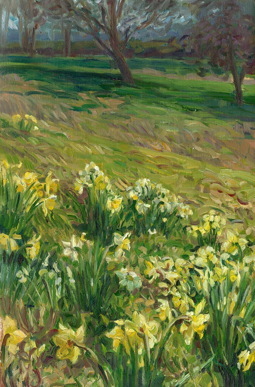 Veld met narcissen