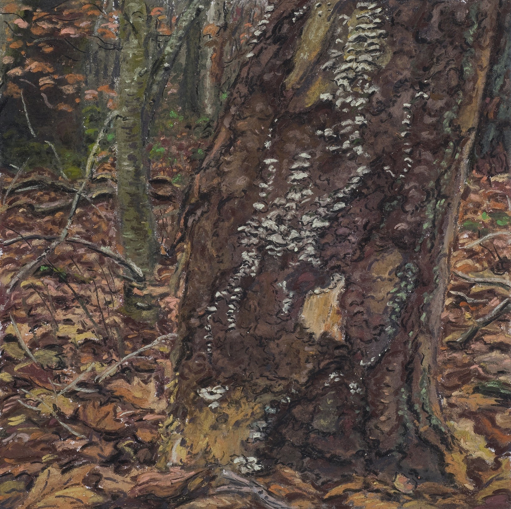 Vorden, november