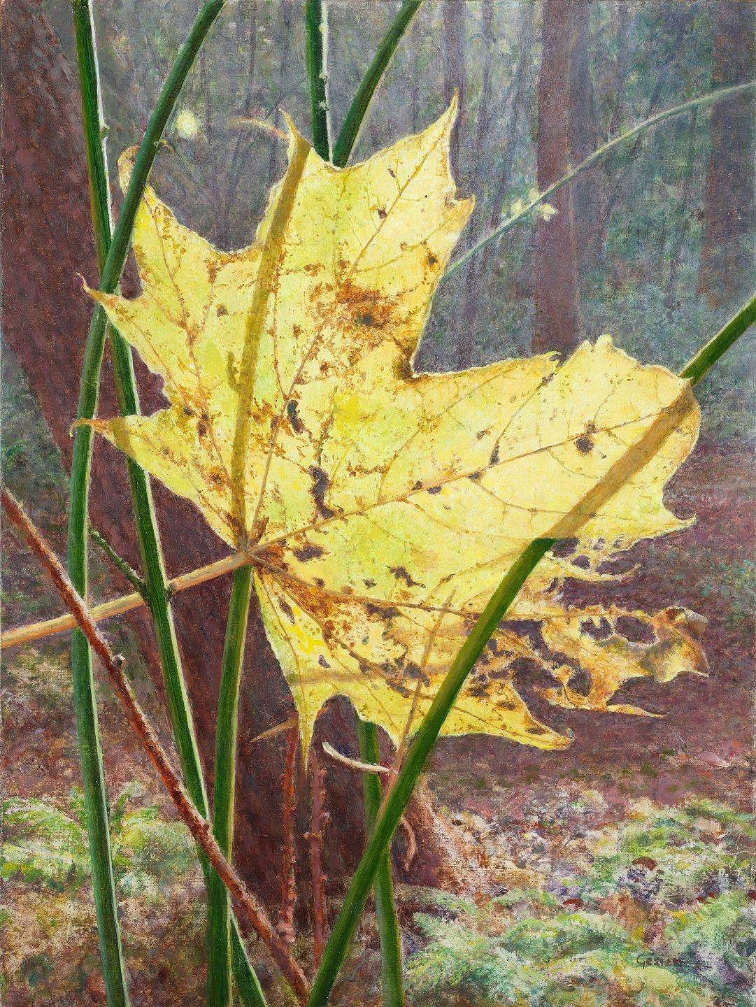 Lichtvanger in de herfst